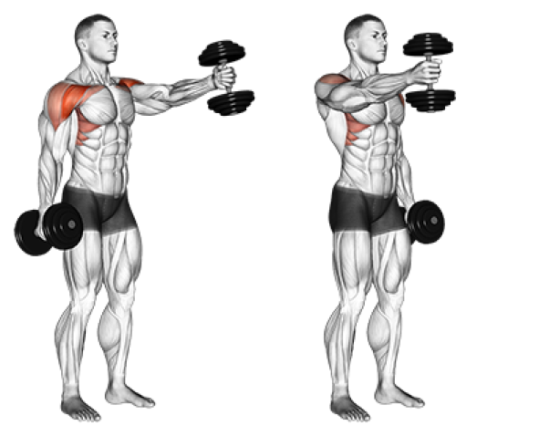 Front Delt Exercises