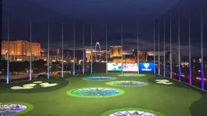 What Is Top Golf