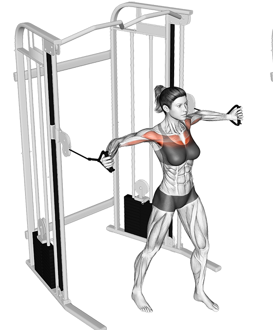 Cable Exercises for Chest
