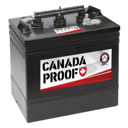 Golf Cart Batteries