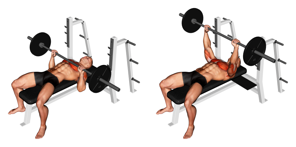 Bench Press