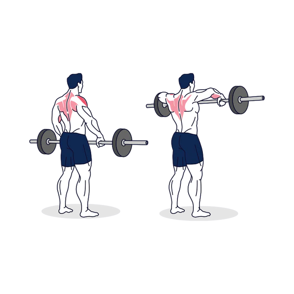 Barbell Row