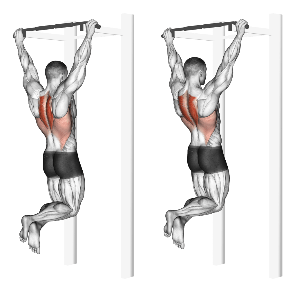 Pull-Up