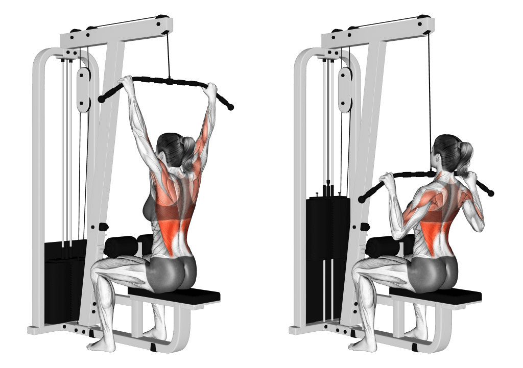 Lat-Pulldown