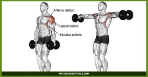 Deltoid Exercises