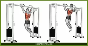 Pull Day Workout