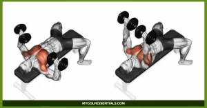 Push Day Workout