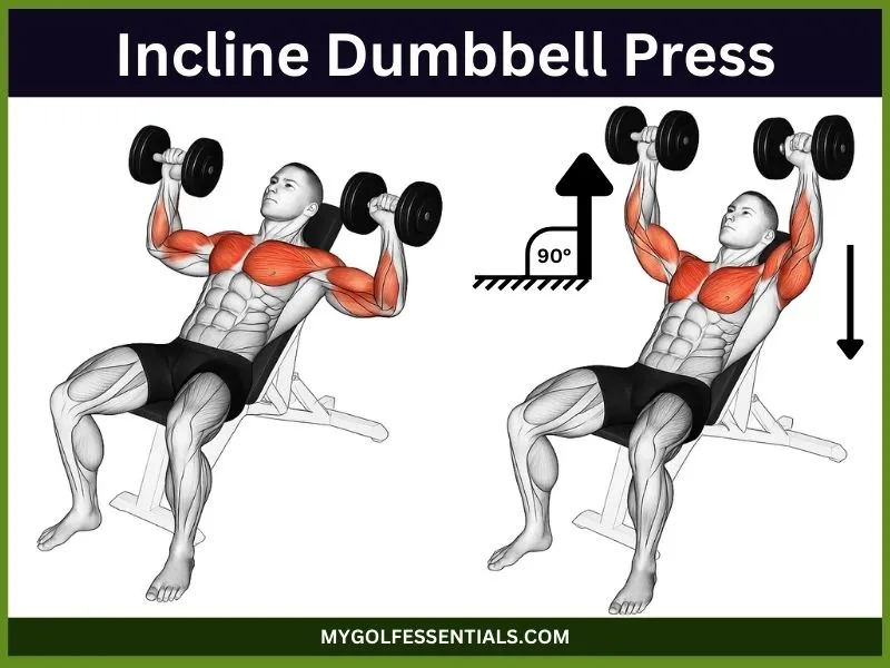 How To Do Incline Dumbbell Press To Boost Your Upper Chest Gains
