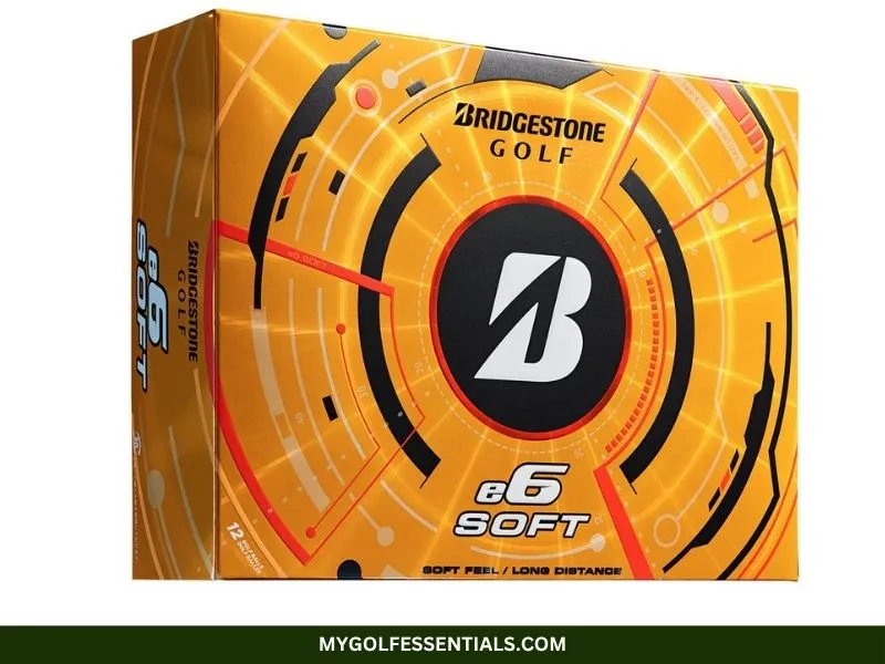 Bridgestone e6